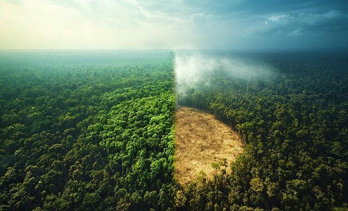 Cambodia, Japan Sign Climate and Biodiversity Accord